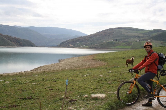 bicicletas y caballos
